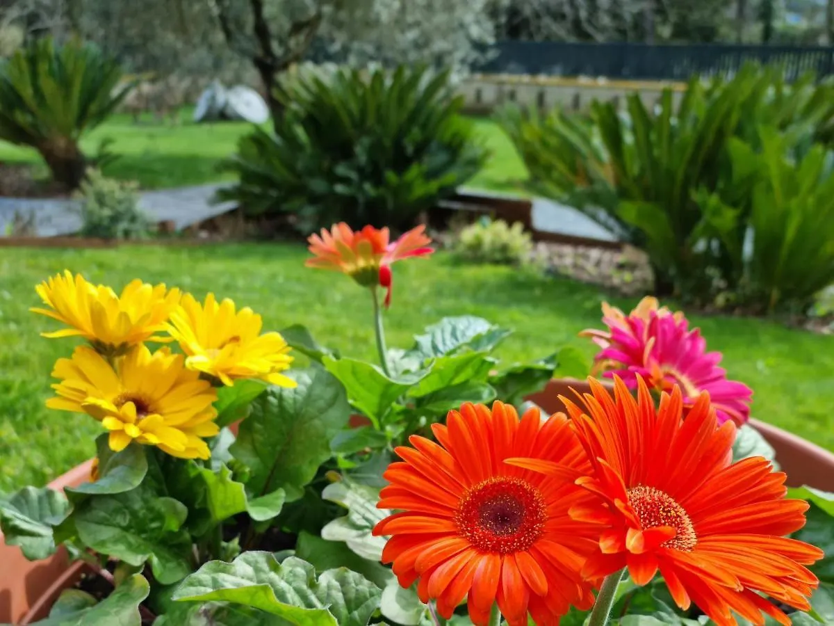 Il Casale Nel Parco Guesthouse Rome